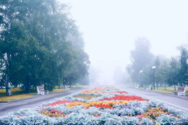 Цветочные Клумбы Городской Парк Красивые Яркие Городские Цветы Ландшафте Городской — стоковое фото
