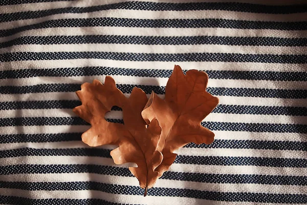 Coeur Automne Sur Chêne Jaune Feuille Coeur Symbole Dans Décoration — Photo