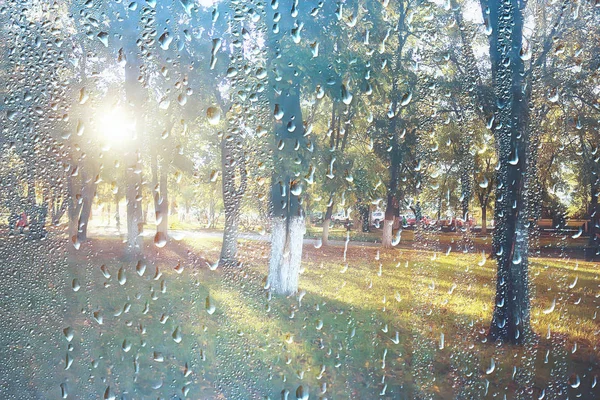 公園で春の日 窓を通して公園内の春の風景のビュー ガラス上の雨滴 — ストック写真