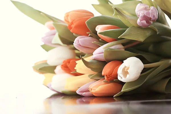 Strauß Bunter Tulpen Frühlingsblumen Leuchtend Schöne Blumen Frühlingsgeschenk Konzept — Stockfoto