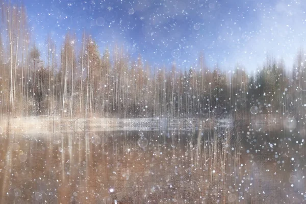 森林雪模糊的背景或冬天风景雪覆盖的森林 树木和分支在冬天天气 — 图库照片