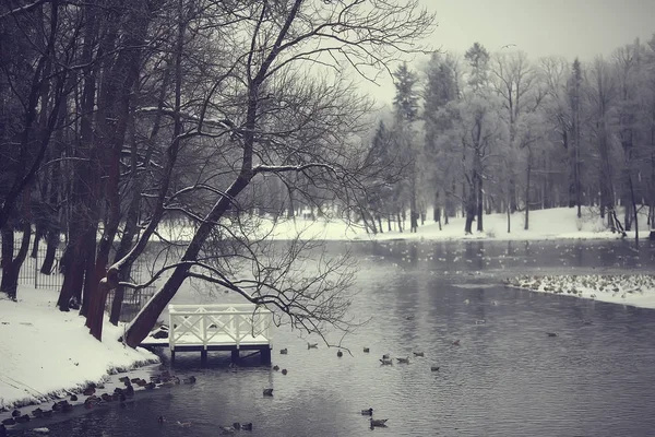 Parco Invernale Paesaggio Urbano Inverno Meteo Paesaggio Neve Città Alberi — Foto Stock