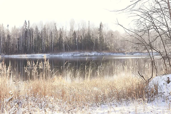 Télen Orosz Faluban Télen Táj Erdő Oroszországban Hóval Borított Fák — Stock Fotó