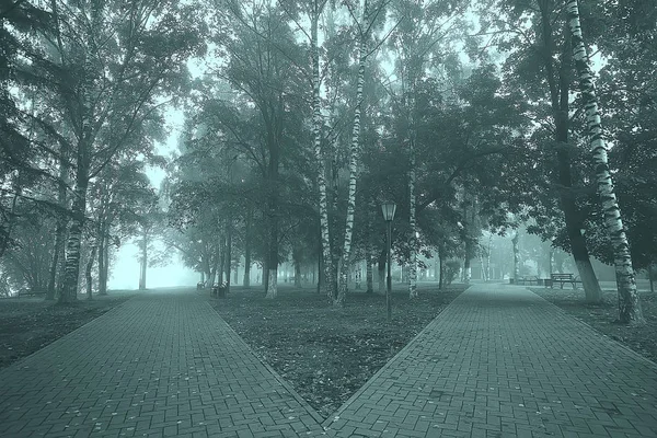 Осеннее Пейзажное Утро Тумане Аллее Городском Парке Туманный Пейзаж Городе — стоковое фото