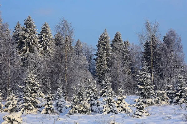 Abstrakte Hintergrund Landschaft Winter Wald Frostbedeckten Ästen Schnee Wetter Weihnachten — Stockfoto