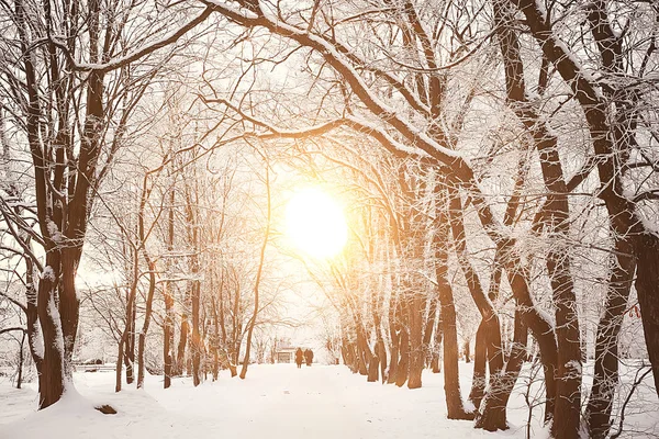 Pôr Sol Floresta Inverno Pôr Sol Fevereiro Parque Floresta Neve — Fotografia de Stock