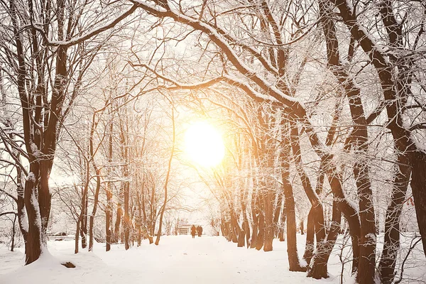 Solnedgång Vinter Skogen Februari Solnedgång Parken Snöskog Och Sol Vinter — Stockfoto