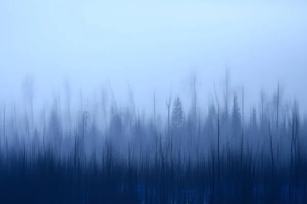 Abstract Forest Blurred Winter Vertical Lines Winter Forest Background Abstract — Stock Photo, Image