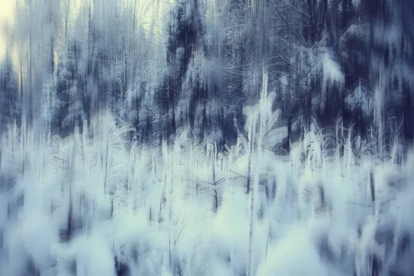 抽象的な森ぼやけた冬の垂直線 冬の森の背景 抽象的な風景 — ストック写真