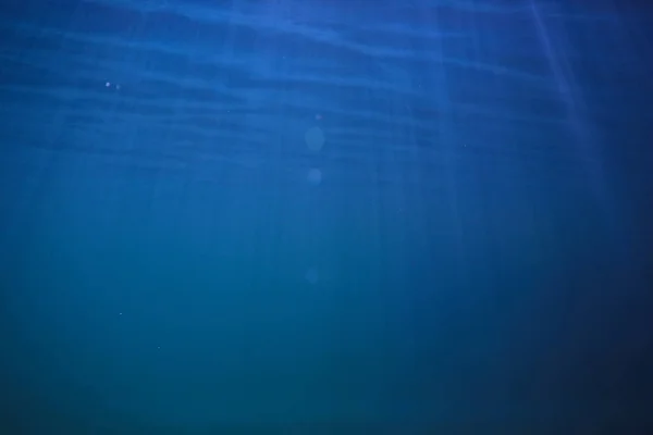 湖の背景水水中抽象 淡水ダイビングの背景自然水中生態系の背景 — ストック写真