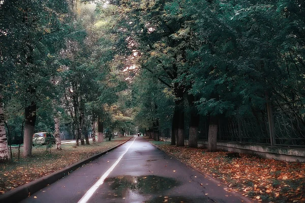 Cesta Podzimní Park Podzimní Krajina Žlutý Park Podzimních Stromech Listí — Stock fotografie