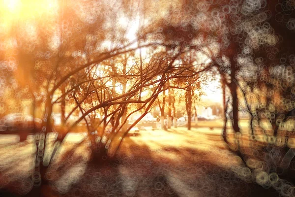 Абстрактный Размытый Фон Осеннего Парка Красивый Пейзаж Яркими Красками Боке — стоковое фото