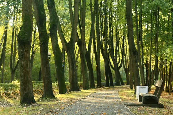 Krajobraz Jesienny Park Ławce Piękny Ogród Ławce Pojęcie Odpoczynku Nikt — Zdjęcie stockowe