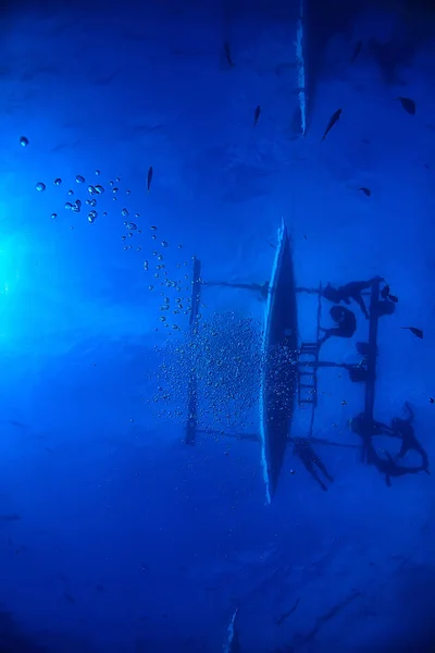 シュノーケリングクジラシャーク フィリピン サメとダイビング 水中シーン — ストック写真