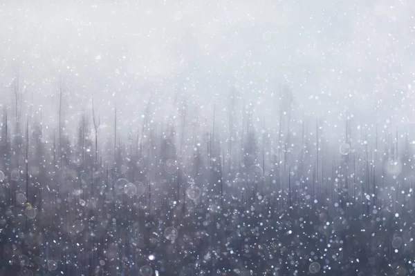 Skog Snö Suddig Bakgrund Vinter Landskap Snötäckta Skog Träd Och — Stockfoto