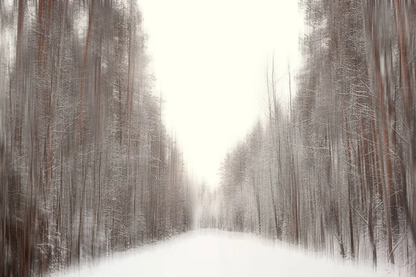 Astratto Foresta Offuscata Inverno Linee Verticali Inverno Sfondo Foresta Paesaggio — Foto Stock