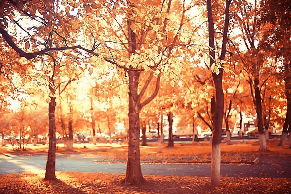 パス秋の公園 秋の風景 秋の木々や葉の黄色い公園 市の公園で美しい晴れた日 — ストック写真