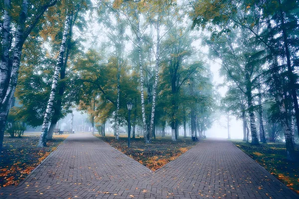Осінній Ландшафтний Ранок Тумані Алеї Міському Парку Туманний Пейзаж Місті — стокове фото