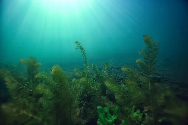 Lago Paisagem Subaquática Abstrato Azul Água Transparente Eco Proteção Natureza — Fotografia de Stock