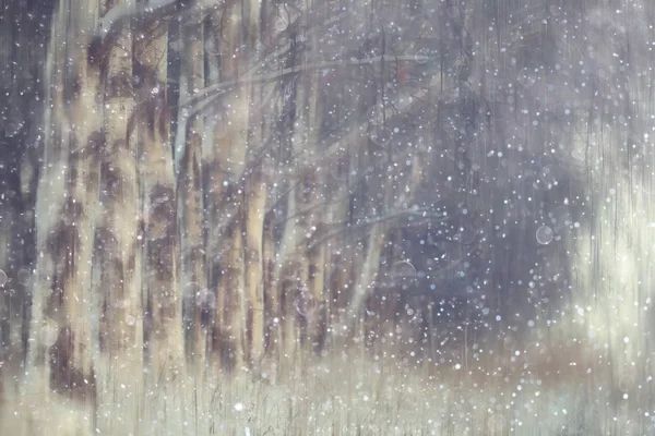 Skog Snö Suddig Bakgrund Vinter Landskap Snötäckta Skog Träd Och — Stockfoto