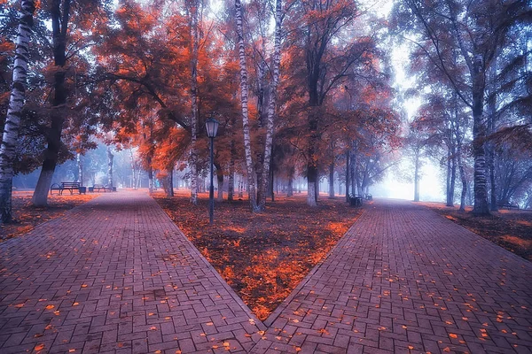 Φθινοπωρινό Τοπίο Πρωί Στην Ομίχλη Σοκάκι Στο Πάρκο Της Πόλης — Φωτογραφία Αρχείου
