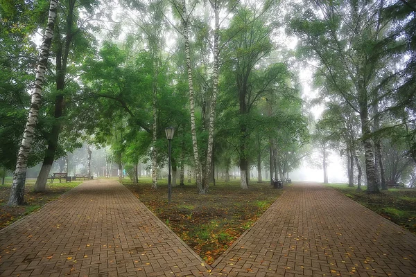 Autumn Landscape Morning Fog Alley City Park Misty Landscape City — Stock Photo, Image