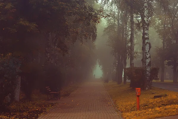 Otoño Paisaje Mañana Niebla Callejón Parque Ciudad Paisaje Brumoso Ciudad —  Fotos de Stock