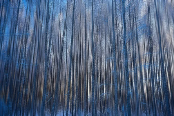 抽象的な森ぼやけた冬の垂直線 冬の森の背景 抽象的な風景 — ストック写真
