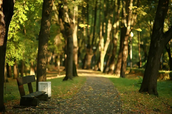 Landskap Höst Parkbänk Vacker Trädgård Bänk Begreppet Vila Ingen Höst — Stockfoto