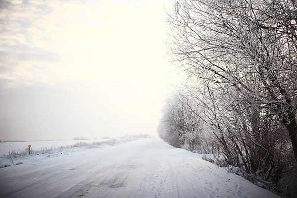 Зимний Пейзаж Лесу Снежная Погода Январе Красивый Пейзаж Снежном Лесу — стоковое фото