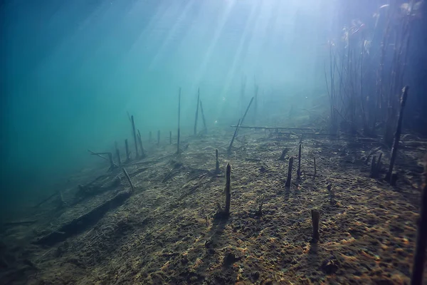 Lake Underwater Landscape Abstract Blue Transparent Water Eco Nature Protection — Stock Photo, Image