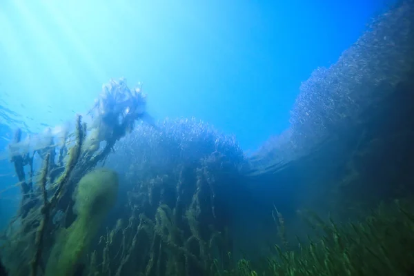 Lago Paesaggio Subacqueo Astratto Blu Acqua Trasparente Eco Protezione Della — Foto Stock