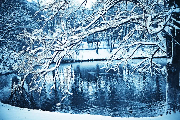 Abstrato Fundo Paisagem Inverno Floresta Geada Coberto Árvore Ramos Nevado — Fotografia de Stock