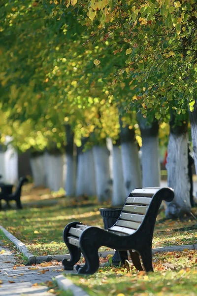 Paisagem Banco Parque Outono Banco Bonito Jardim Conceito Descanso Ninguém — Fotografia de Stock