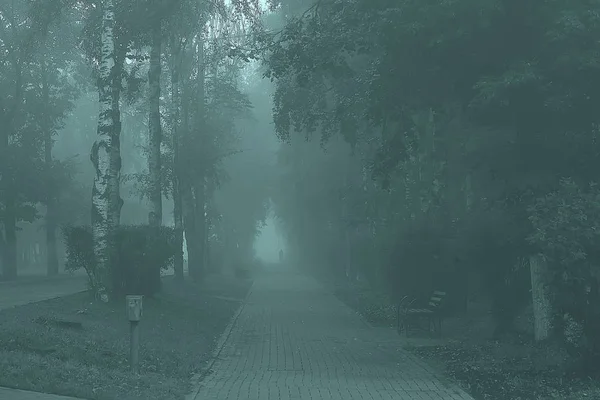 Otoño Paisaje Mañana Niebla Callejón Parque Ciudad Paisaje Brumoso Ciudad —  Fotos de Stock