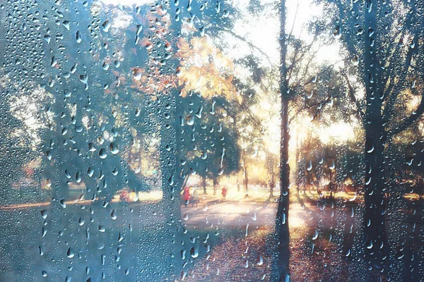 Fond Verre Mouillé Gouttes Automne Dans Parc Vue Sur Paysage — Photo