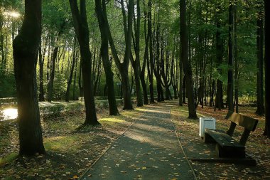 Sonbahar Parkı tezgah/güzel bahçe bankta peyzaj, dinlenme kavramı, sonbahar Parkı kimse, peyzaj arka plan, sonbahar