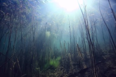 Doğa Göl manzara mavi çevre su sualtı şeffaf