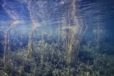 Doğa Göl manzara mavi çevre su sualtı şeffaf