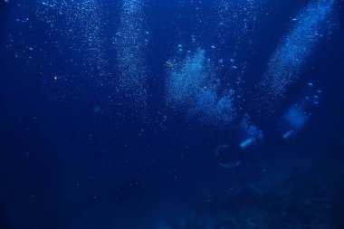 mercan resifi sualtı/deniz mercan Lagünü, okyanus ekosistemi