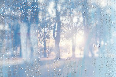 arka plan ıslak cam sonbahar parkta sonbahar Parkı içinde manzara/görünüm ıslak bir pencere, bir sonbahar gününde yağmurlu hava kavramı damla