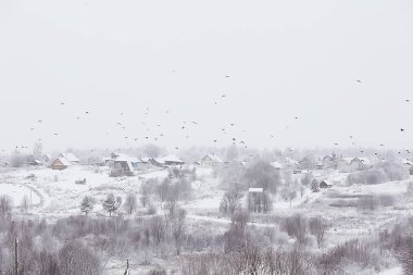 Rus köyünde kış/kış manzarası, Rusya 'da orman, eyalette karla kaplı ağaçlar