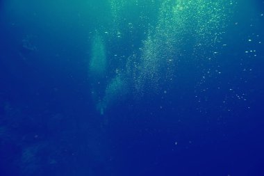 mercan resifi Vintage tonlama/alışılmadık manzara, sualtı hayatı, okyanus doğa