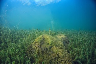 Doğa Göl manzara mavi çevre su sualtı şeffaf