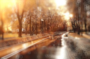 Soyut bir sonbahar Parkı arka plan bulanık/vurgular ve sarı bir sonbahar şehir parkında güneşli bir günde bokeh ile güzel manzara