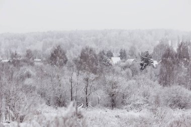 Rus köyünde kış/kış manzarası, Rusya 'da orman, eyalette karla kaplı ağaçlar