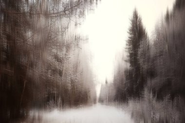 arka plan bulanık dikey kış kışın orman soyut orman