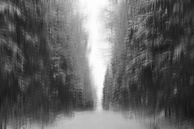 arka plan bulanık dikey kış kışın orman soyut orman