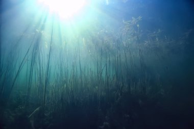 arka plan doğa güneş mavi mavi deniz sualtı su deniz ışınları