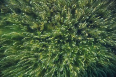 Doğa Göl manzara mavi çevre su sualtı şeffaf